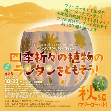 四季折々の植物のランタンをともそう！秋編（マリーゴールド 画像
