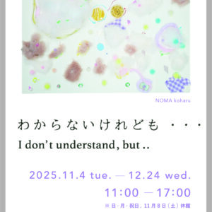 わからないけれども ・・・ I don’t understand, but .. 画像