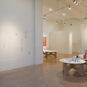 わからないけれども ・・・ I don’t understand, but .. 画像